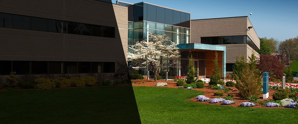 New Paris Landscapers