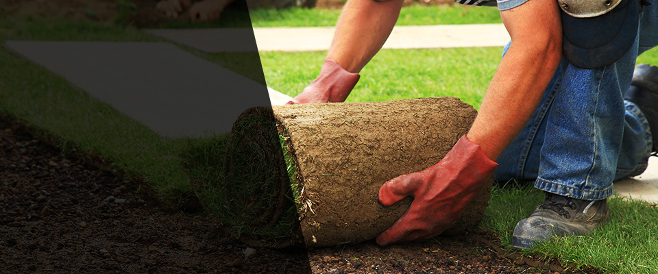 New Paris Landscapers